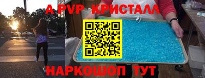 твердый Пугачёв