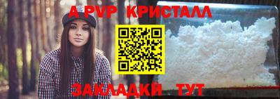 твердый Пугачёв