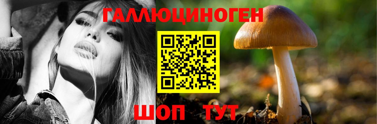 Орск  Псилоцибиновые грибы Magic Shrooms  Вход с VPN  Псилоцибиновые грибы Psilocybine cubensis 